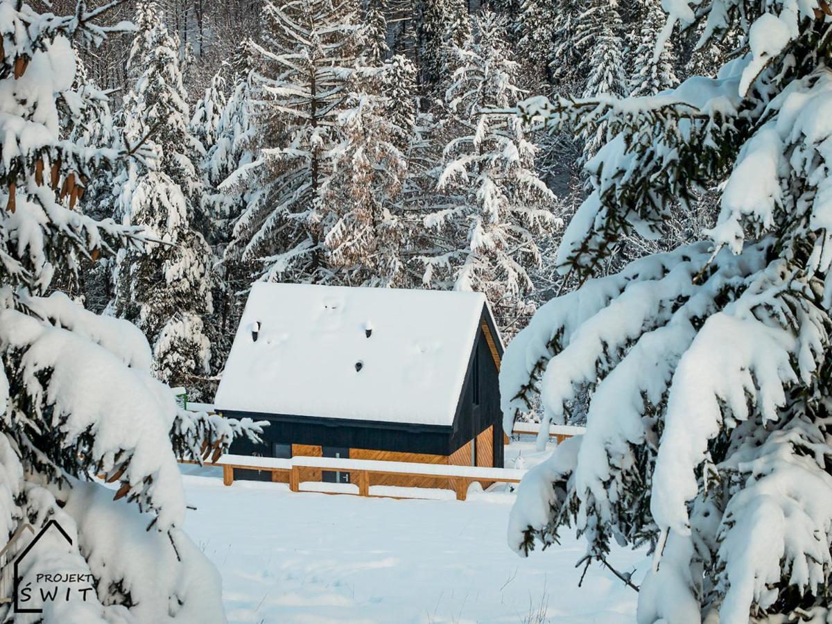 Projekt Swit - Domki Z Prywatna Jacuzzi I Sauna Zywiec Luaran gambar