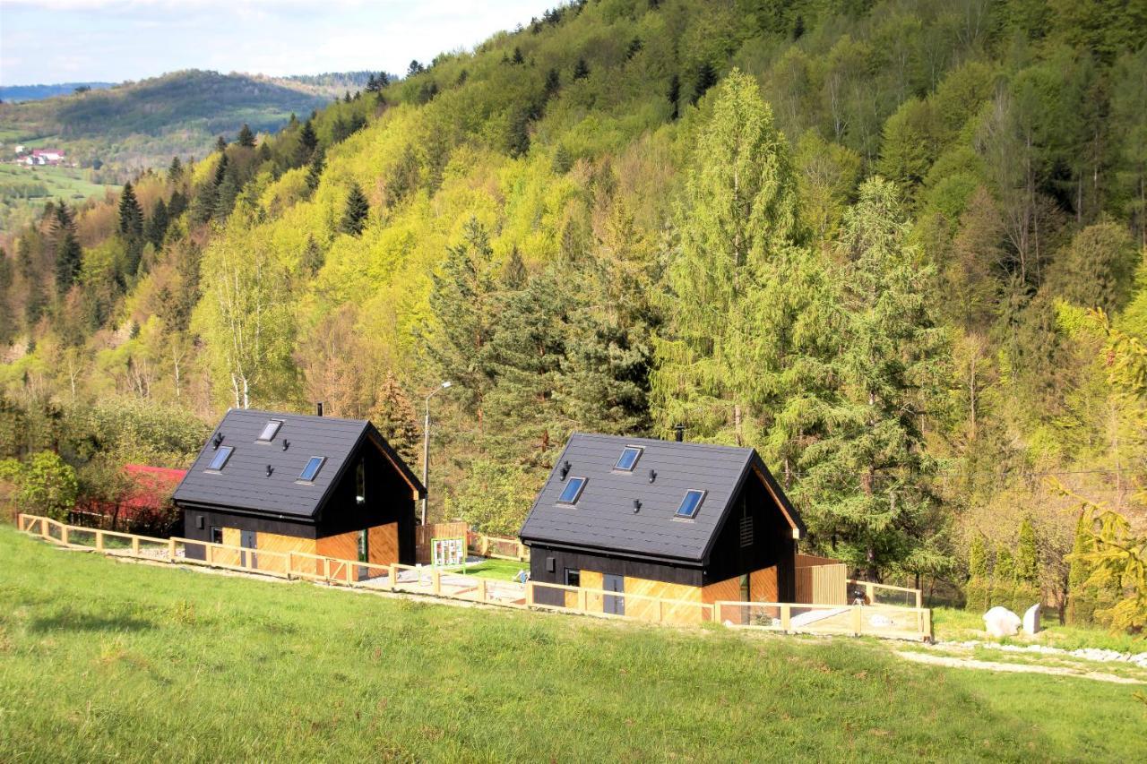 Projekt Swit - Domki Z Prywatna Jacuzzi I Sauna Zywiec Luaran gambar