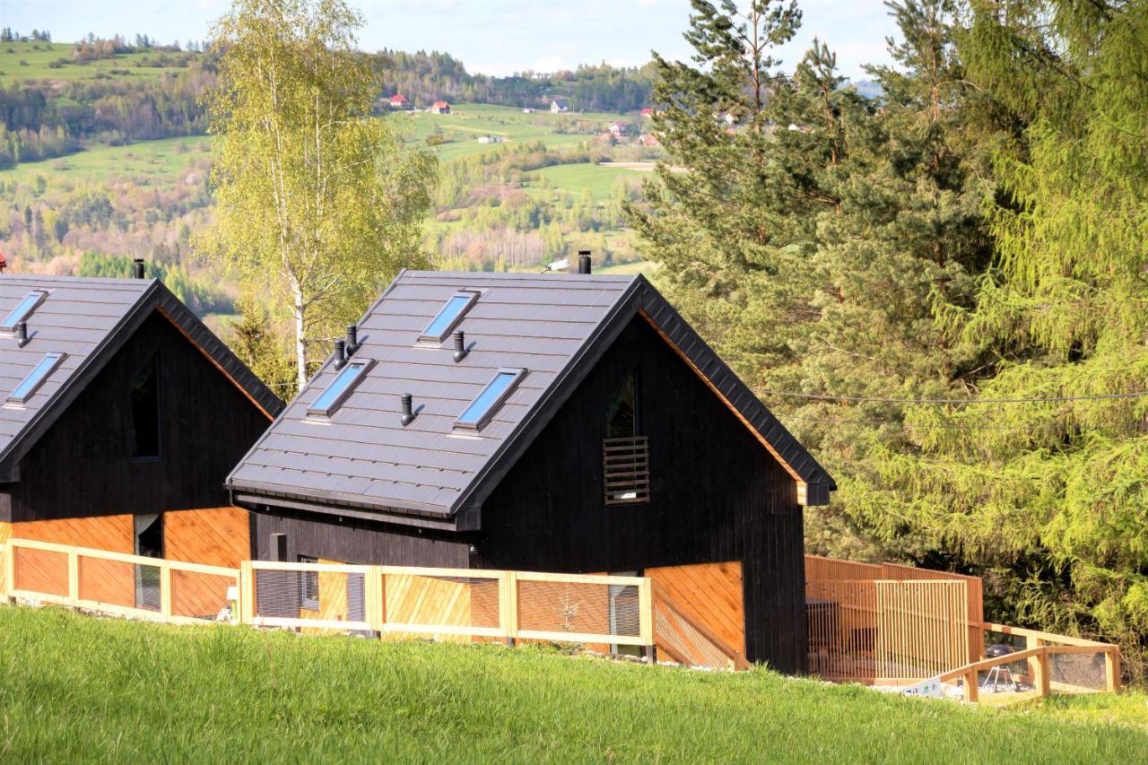 Projekt Swit - Domki Z Prywatna Jacuzzi I Sauna Zywiec Luaran gambar